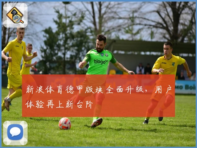 新浪体育德甲版块全面升级，用户体验再上新台阶