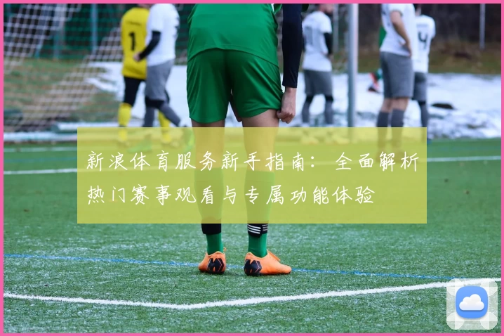 新浪体育服务新手指南：全面解析热门赛事观看与专属功能体验