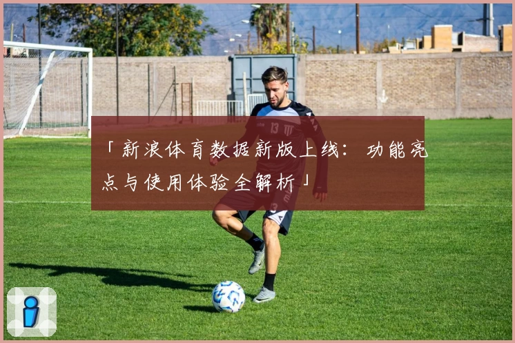 「新浪体育数据新版上线：功能亮点与使用体验全解析」