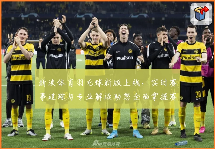 新浪体育羽毛球新版上线，实时赛事追踪与专业解读助您全面掌握赛场动态