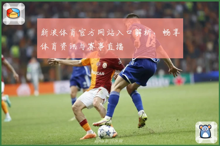 新浪体育官方网站入口解析，畅享体育资讯与赛事直播