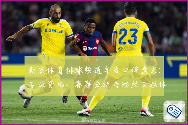 新浪体育排球频道年度口碑盘点：专业资讯、赛事分析与粉丝互动体验大揭秘