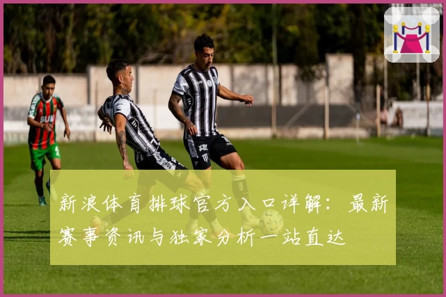 新浪体育排球官方入口详解：最新赛事资讯与独家分析一站直达
