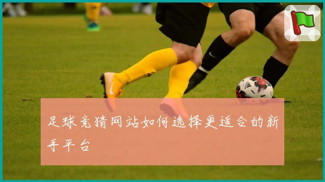 足球竞猜网站如何选择更适合的新手平台