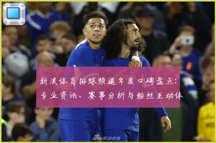 新浪体育排球频道年度口碑盘点：专业资讯、赛事分析与粉丝互动体验大揭秘