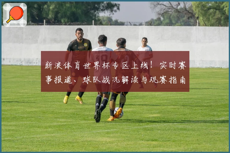 新浪体育世界杯专区上线！实时赛事报道、球队战况解读与观赛指南一应俱全