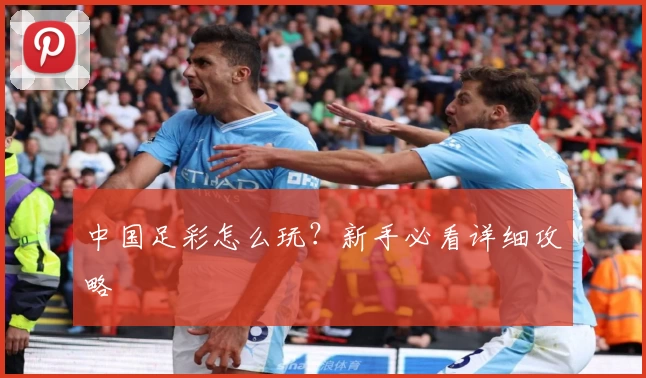 中国足彩怎么玩?新手必看详细攻略