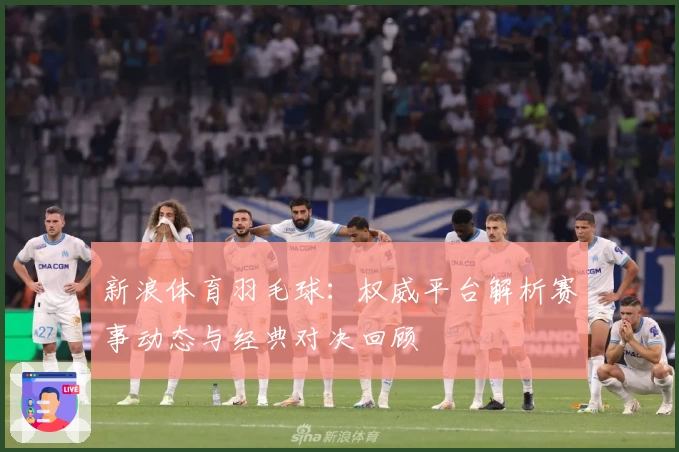 新浪体育羽毛球：权威平台解析赛事动态与经典对决回顾