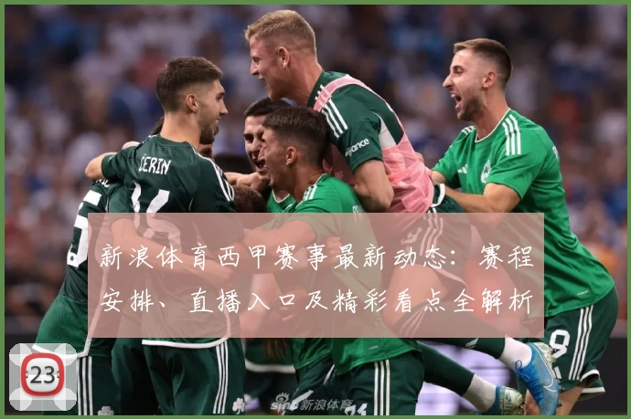 新浪体育西甲赛事最新动态：赛程安排、直播入口及精彩看点全解析