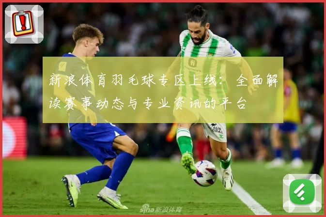 新浪体育羽毛球专区上线：全面解读赛事动态与专业资讯的平台