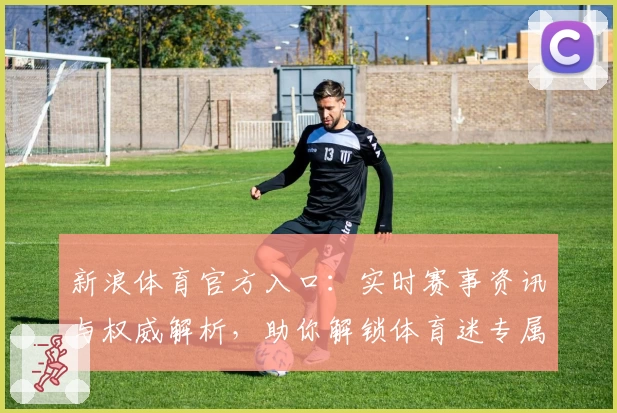 新浪体育官方入口：实时赛事资讯与权威解析，助你解锁体育迷专属体验