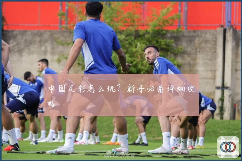 中国足彩怎么玩?新手必看详细攻略