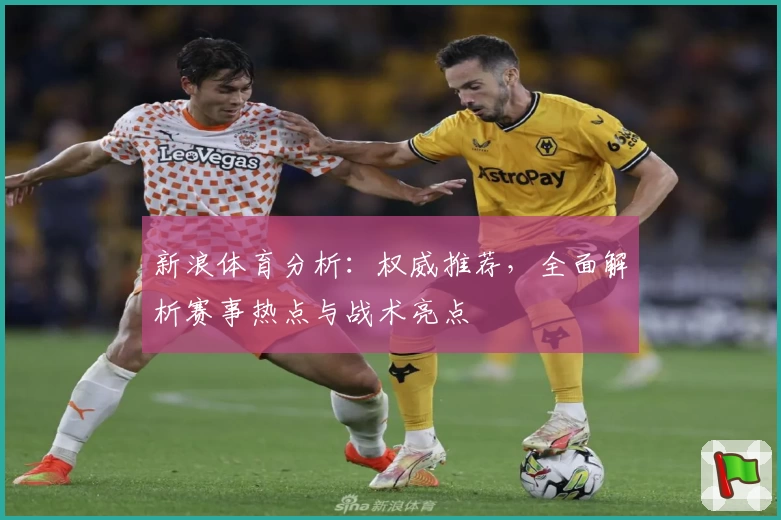新浪体育分析：权威推荐，全面解析赛事热点与战术亮点