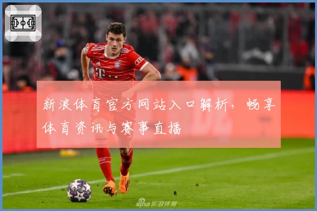 新浪体育官方网站入口解析，畅享体育资讯与赛事直播