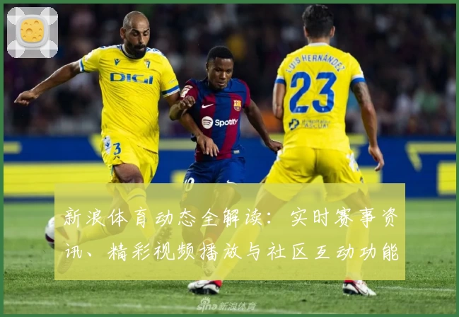 新浪体育动态全解读：实时赛事资讯、精彩视频播放与社区互动功能亮点揭秘