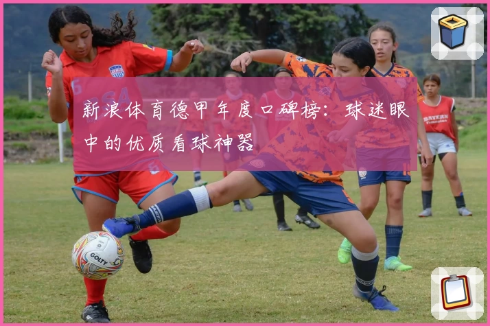 新浪体育德甲年度口碑榜：球迷眼中的优质看球神器
